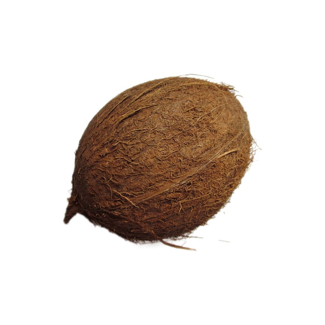 Coconut 1pc
