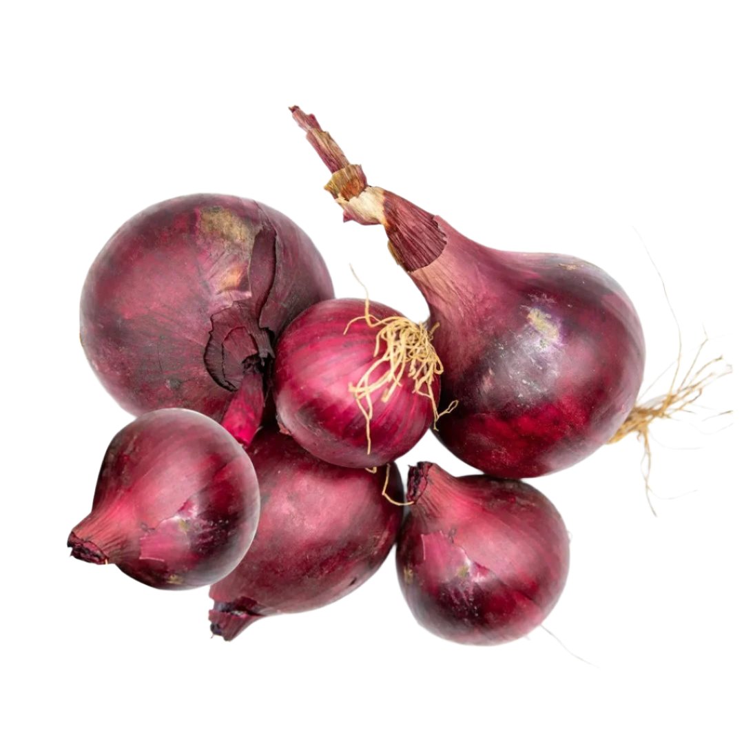 Red onion 6pcs
