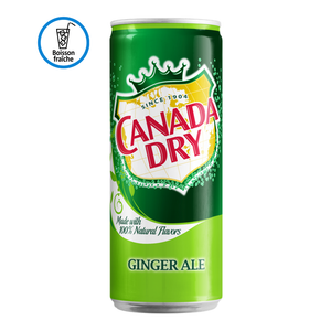 Canada Dry Tonic Ginger 330ml