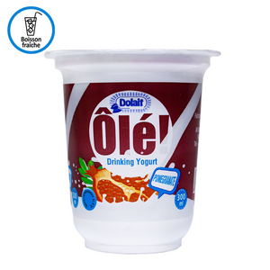 Dolait Grenadine Yogurt 300ml