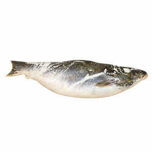 Malangwa Fish 1kg